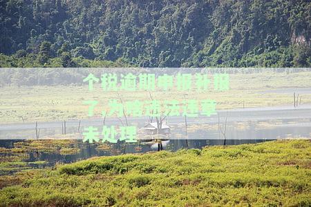 个税逾期申报补报后仍显示违法违章未处理，罚款是否需要缴纳？如何解决申报逾期问题？