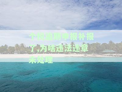 个税逾期怎么补报，如何补报个税逾期？操作指南在此！