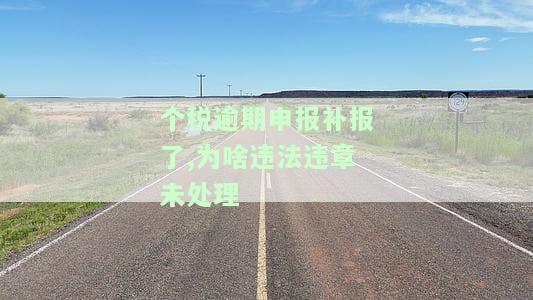 个税逾期申报补报了,为啥违法违章未处理