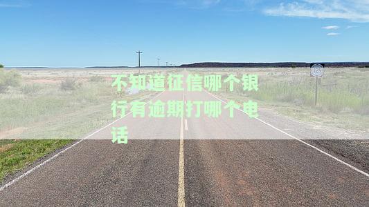 如何查询征信逾期记录所属机构？