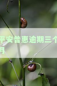 平安普逾期三个月已发律师函，接下来会发生什么？
