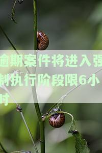 逾期法院强制执行，逾期未履行？法院将启动强制执行程序！