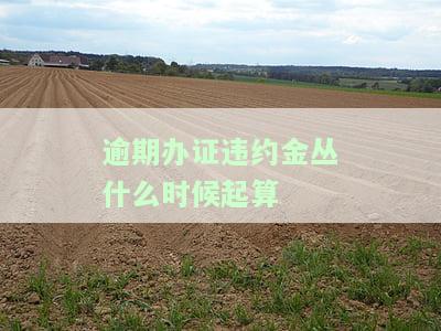 办证违约金，了解办证违约金：责任与赔偿