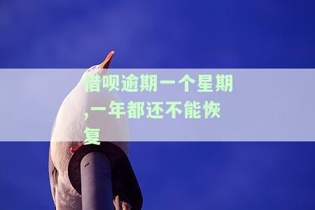 借呗逾期一个星期，会对信用产生影响吗？一年都无法恢复正常该怎么办？