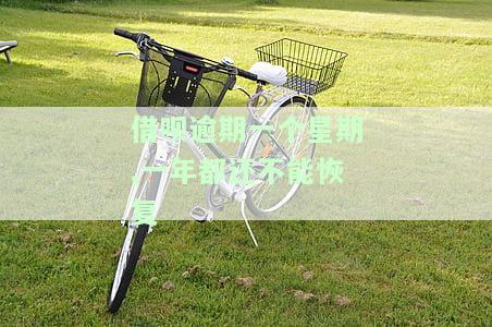 借呗逾期一个星期是不是以后都不能用了，借呗逾期一周后是否还能继续使用？答案在这里！