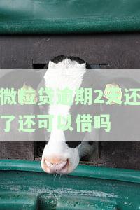 微粒贷逾期2天已还：能否继续借款？