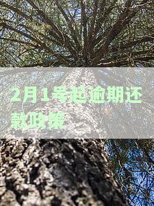 逾期2月会有什么影响，逾期2个月会对你的信用产生什么影响？