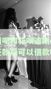 借呗和花呗逾期后还款后可以借款吗-借呗和花呗逾期后还款后可以借款吗安全吗