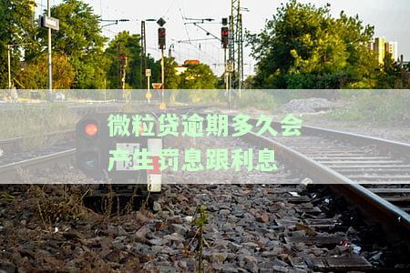 微粒贷逾期多久会产生罚息跟利息呢，了解微粒贷：逾期多久会计算罚息和利息？