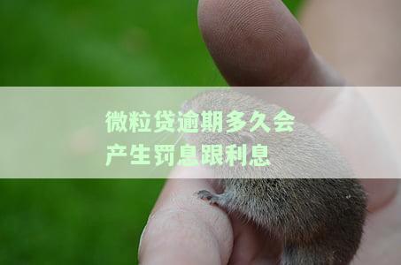 微粒贷逾期多久会全部还款，了解微粒贷：逾期多久会导致全额还款？