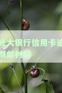 2021年光大信用卡逾期，警惕！2021年光大信用卡逾期问题需重视
