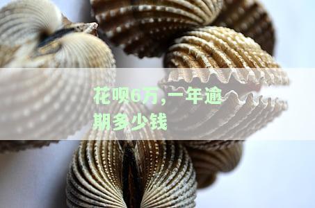 花呗逾期六千会被起诉吗，逾期六千？小心被起诉！花呗逾期的后果你必须知道
