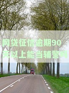 征信有逾期可以当辅警吗，征信逾期是否会影响成为辅警？