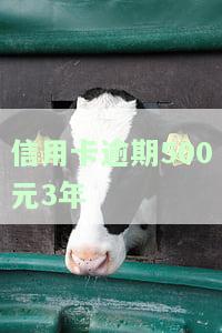 信用卡逾期500元3年利息多少，逾期500元信用卡，3年的利息究竟有多少？
