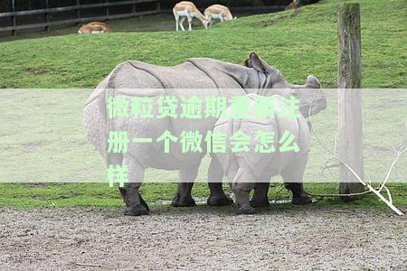 微粒贷有逾期还款记录，能否再次贷款？已还清能否继续使用？