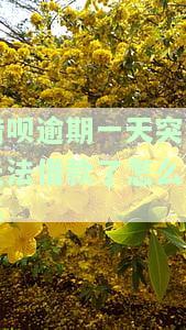 借呗逾期一天突然无法借款了怎么回事啊，借呗逾期一天后突然无法借款，是什么原因？