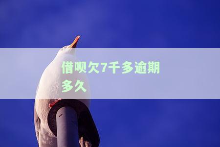 借呗逾期七千会起诉吗？后果严重，需尽快还款！