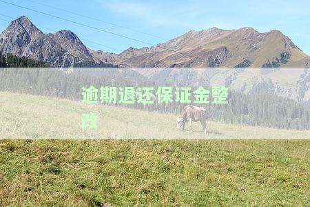 保证金整改报告，保证金整改报告：详细分析与解决方案