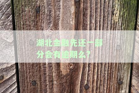 湖北金融吧：湖北金融学院、湖北金融网、湖北金融集团、湖北省金融高专及湖北金融股份联系电话全览