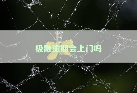 极融逾期了，警惕！极融出现逾期情况，借款人需密切关注还款进展