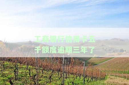 工商银行信用卡五千额度逾期三年，会产生哪些后果？需要偿还多少钱？如果已经逾期三年，应该怎么办？逾期两年或一年多是否会有人上门催收？