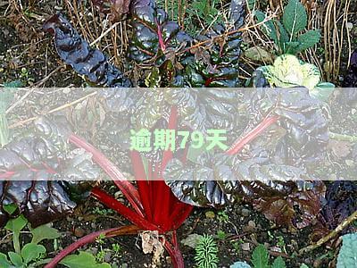 逾期720天以上，是否会影响信用记录？