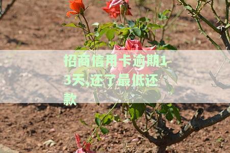 招商逾期10天还最低还款会怎样？会影响信用记录、额度提升吗？