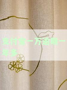 支付宝一万逾期一年多-支付宝一万逾期一年多怎么办