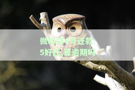 微粒贷6号还款，不要忘记！明天是微粒贷6号还款日