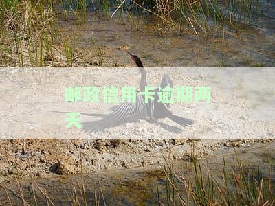 邮政信用卡逾期两天怎么办？影响信用记录吗？