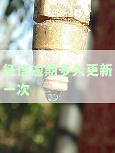 征信逾期多久更新一次-征信逾期多久更新一次消除