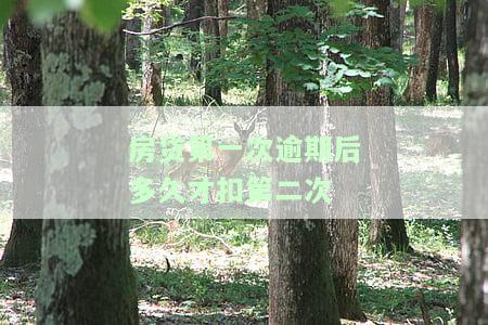 房贷第一次逾期一天罚息多少？后果及处理方法全解析