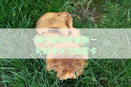 建行信用卡逾期一天扣多少次蓄卡-建行信用卡逾期一天扣多少次蓄卡的钱