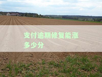 支付宝修复逾期记录后会掉信用吗，支付宝修复逾期记录后，是否会降低你的信用评分？