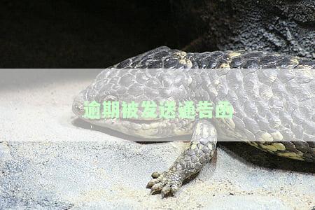 逾期收到告知函：400开头的联系电话、是否真的会去、如何处理？