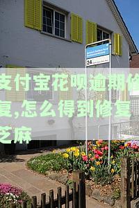 支付宝花呗逾期修复：如何得到修复芝麻信用额度？逾期后如何使用芝麻修复逾期记录？逾期修复后能否提额？是否会上征信？