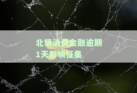 北银消费金融逾期1天影响征集