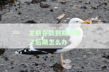 定期存款到期逾期了后期怎么办-定期存款到期逾期了后期怎么办理