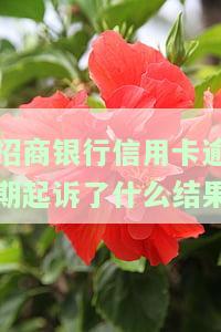 招商信用卡逾期，法院会通知你吗？收到诉讼通知后该怎么办？