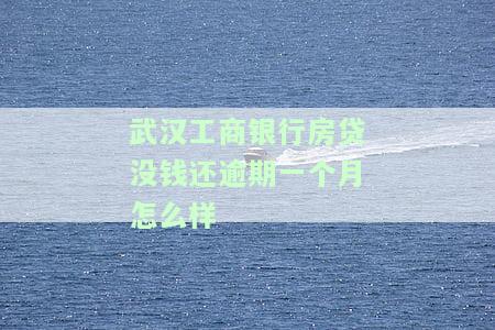 工商银行房贷逾期怎么办？逾期还款会影响征信记录吗？逾期几天会上征信？逾期后如何还款？逾期几个月会被告？