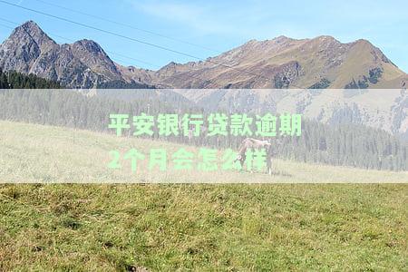 平安银行贷款逾期几天会上个人征信，平安银行贷款逾期：多少天会登上个人征信报告？