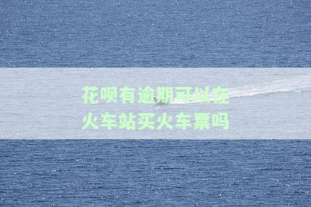 花呗有逾期可以在火车站买火车票吗