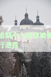 逾期个人信息被银行泄露怎么办，遭遇个人信息泄露：当逾期与银行隐私安全交织时，如何应对？