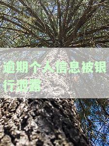 逾期个人信息被银行泄露：如何处理？