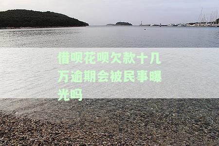 借呗花呗欠款十几万逾期会被民事曝光吗怎么办，债务困扰：借呗、花呗欠款十几万逾期，是否会被民事曝光？解决方案探讨