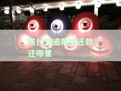 支付宝逾期还款会怎样？影响、处理方式及花呗优先设置全解析