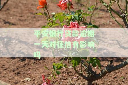 平安银行信用贷款逾期一天还款影响征信吗，平安银行信用贷款：逾期一天还款会对征信产生影响吗？