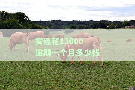 安逸花逾期一天的费用及后果：多少钱会上征信、多少罚息？