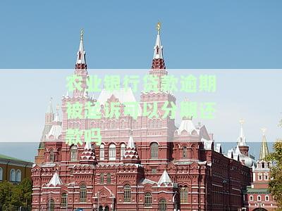 农业银行贷款逾期被起诉后如何调解？逾期多久会被诉、起诉期多久？贷款还不上、逾期怎么办？是否会冻结房产？