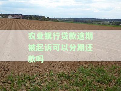 农业银行贷款逾期被起诉了怎么办？解决方法、调解方式及协商技巧全解析！